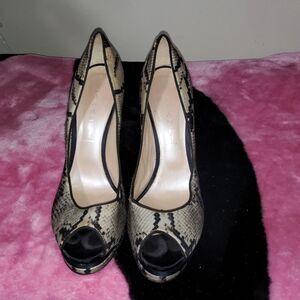 Cassadei Snakeskin designer heels